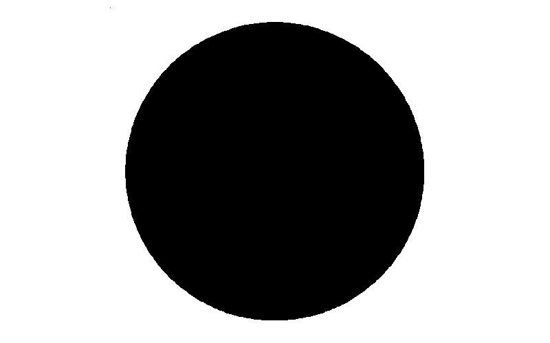 Dichtscheibe, graphitiert